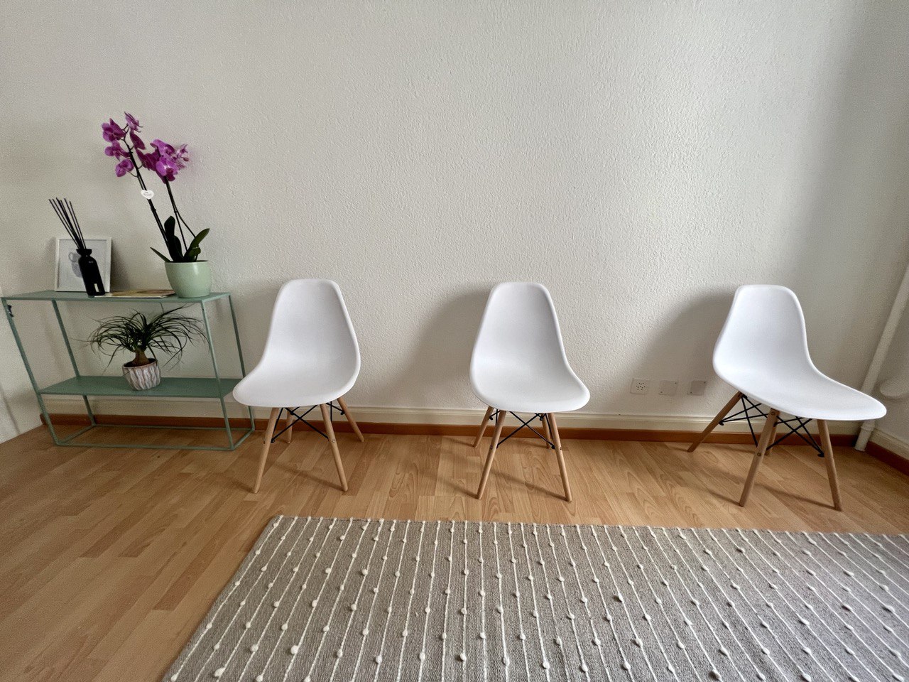 Zurlindenstrasse - Image 1